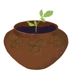 pot with a small plant growing