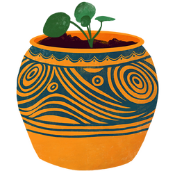 pot with a small plant growing